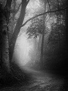 Phil Harbord - Towards The Light
